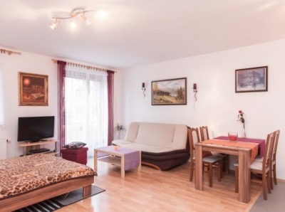 Prodej bytu 1+kk, 42 m2 Zbraslav